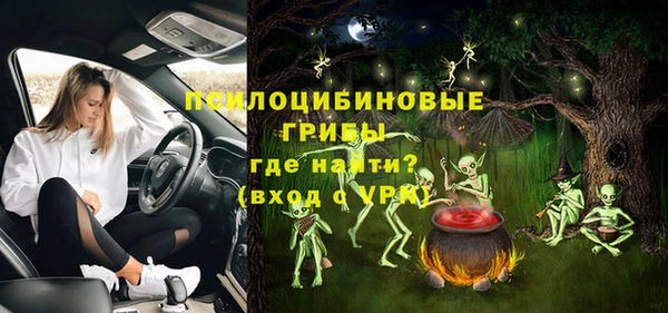 apvp Горно-Алтайск