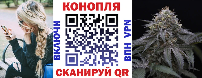 купить наркоту  Меленки  Бошки марихуана White Widow 